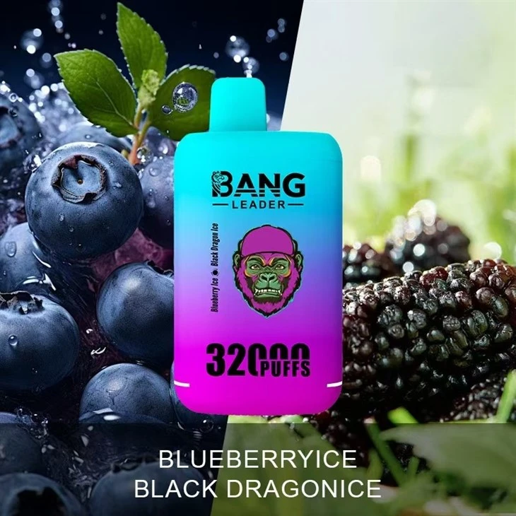 BANG LEADER 32k (13)