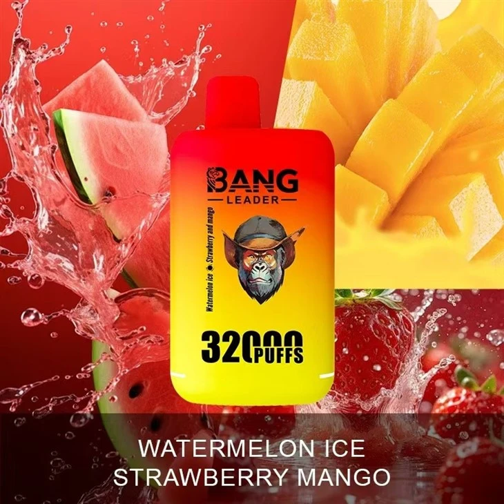 BANG LEADER 32k (7)