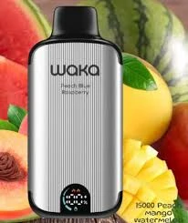 Waka SoPro 15000puff best